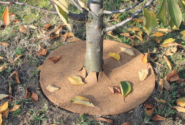 Disques mulch en jute - 10 pc