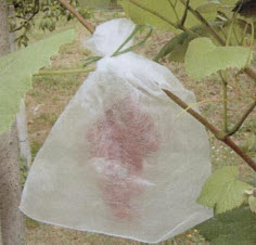 Trosnet BOTRA - 50 st