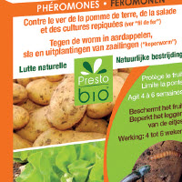 Jardirama feromooncapsule tegen de kever (koperworm) in aardappelen, sla, uitplantingen van zaaiïngen - 2 st