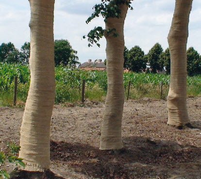 Jute Boomstambeschermer - 0,15 x 25 m