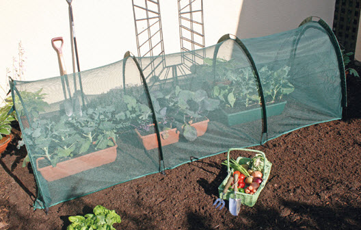 Tunnel de culture avec filet - 3 m x 0,5 m x 0,75 m