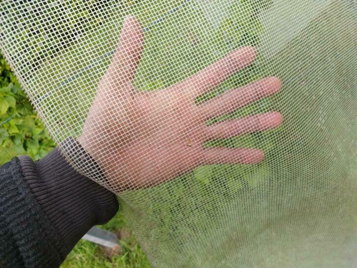 Anti insectennet - 4 m breed / 7 mm maaswijdte - prijs per strekkende m