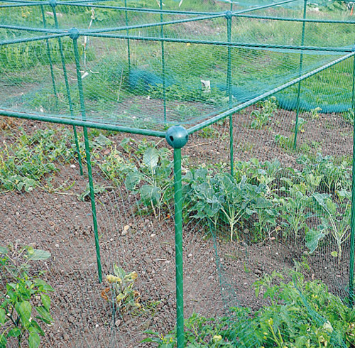 Fruit- of groentekooi L 200 cm - B 100 cm - H 125 cm