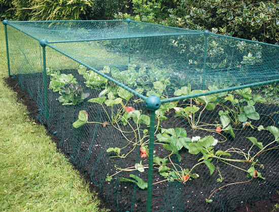 Cages à fruits et légumes L 300 cm - B 100 cm - H 125 cm