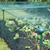 Cages à fruits et légumes L 300 cm - B 100 cm - H 187 cm