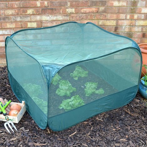 Pop-up net cage - 1 m x 1 m x 0,65 m - 1 st