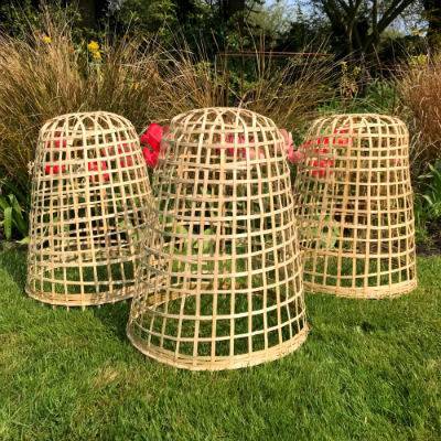 Bamboo cloche - large