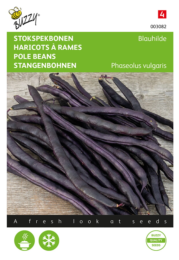 Haricots à rames colorés BLAUHILDE - ca 30 g