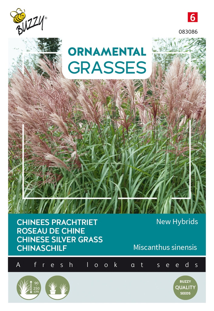 Siergrassen CHINEES PRACHTRIET new hybrids - ca 0,05 g