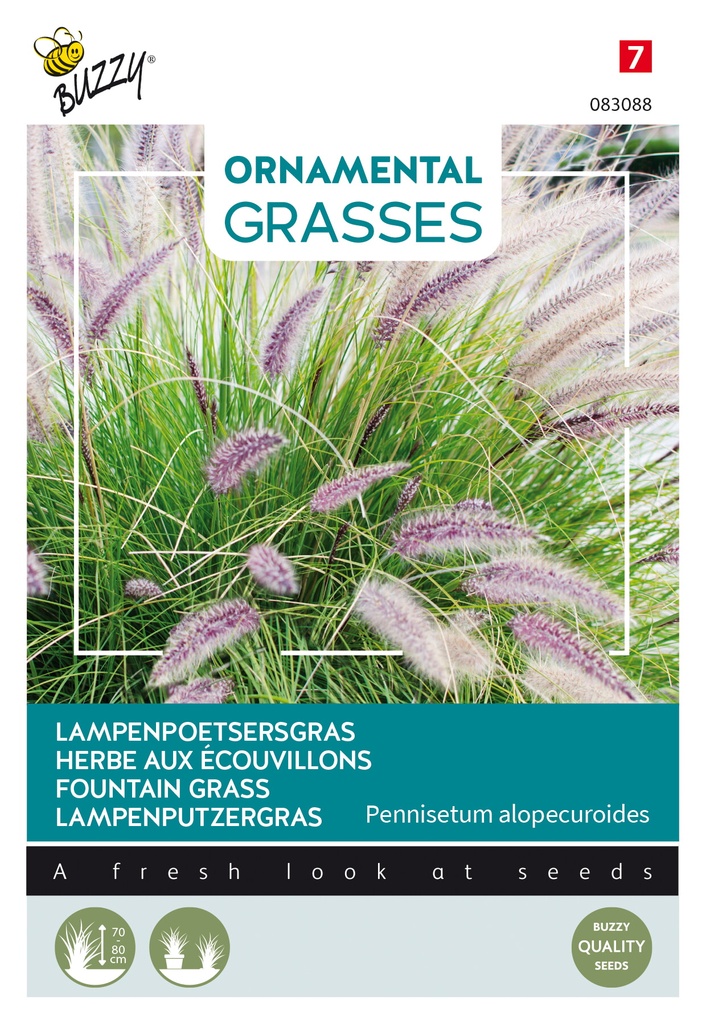 Siergrassen LAMPENPOETSERSGRAS - ca 0,1 g