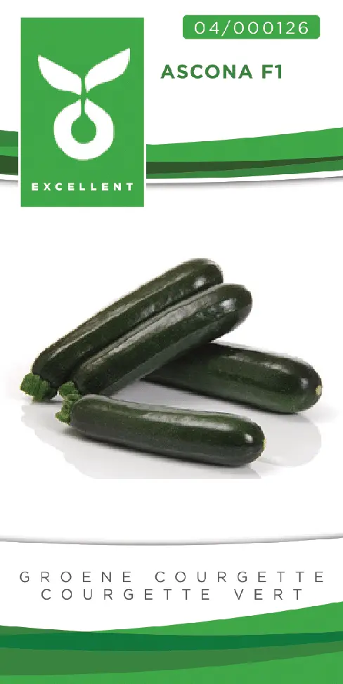 Groene courgette ASCONA F1 - ca 20 z