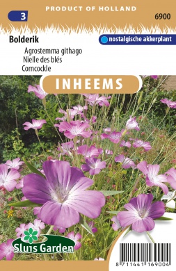 Nielle des blés mélange - ca 1 g / 100 s