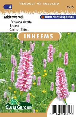 Bistorte officinale - ca 0,4 g / 60 s