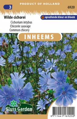 Wilde cichorei - 0,5 g / 350 z