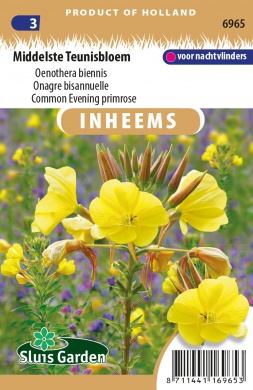 Middelste teunisbloem - ca 0,25 g / 600 z