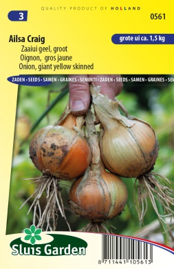 Zaaiajuin geel groot AILSA CRAIG - ca 225 z