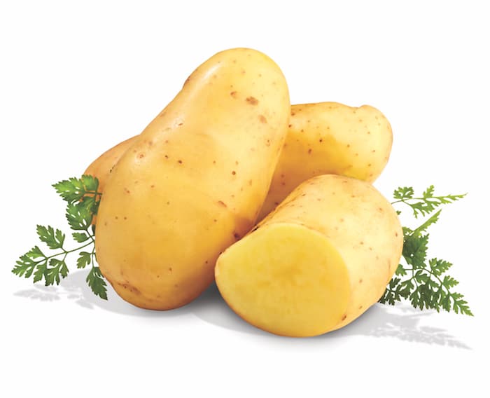 Aardappelpootgoed POMPADOUR klasse A 25/32 - per kg