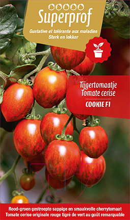 Tijgertomaatje COOKIE F1 - 1 plantje