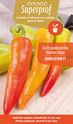 Zoete puntpaprika multicolor CHARLESTON F1 - 1 plantje
