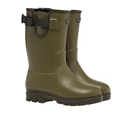 Le chameau PETITE VIERZONORD