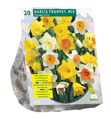 Narcis TROMPET MIX - 20 st