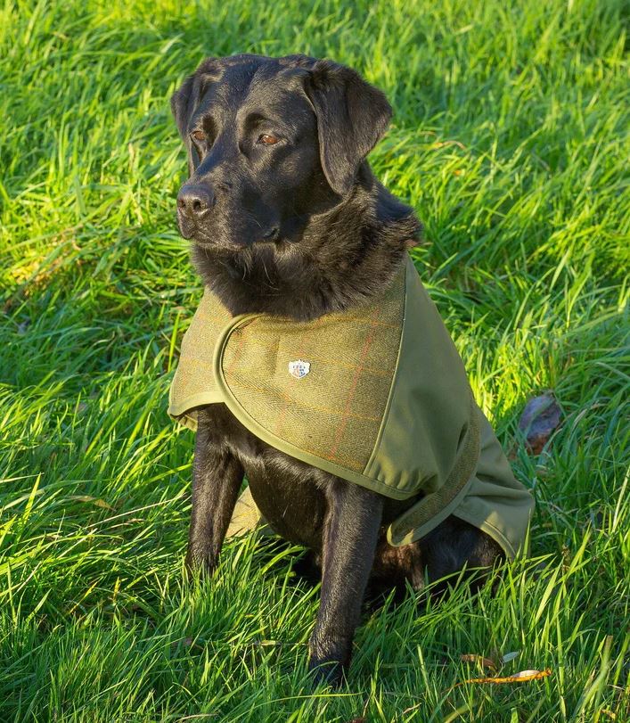 ALAN PAINE Tweed Dog Coat