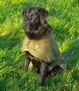ALAN PAINE Tweed Dog Coat