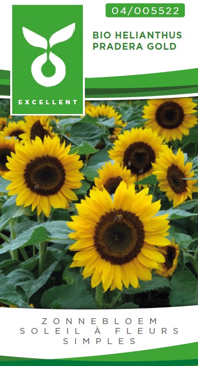 Bio Helianthus PRADERA Gold - ca 20 z