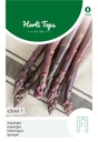 Asperges Violettes ALBENGA F1 - ca 6 s