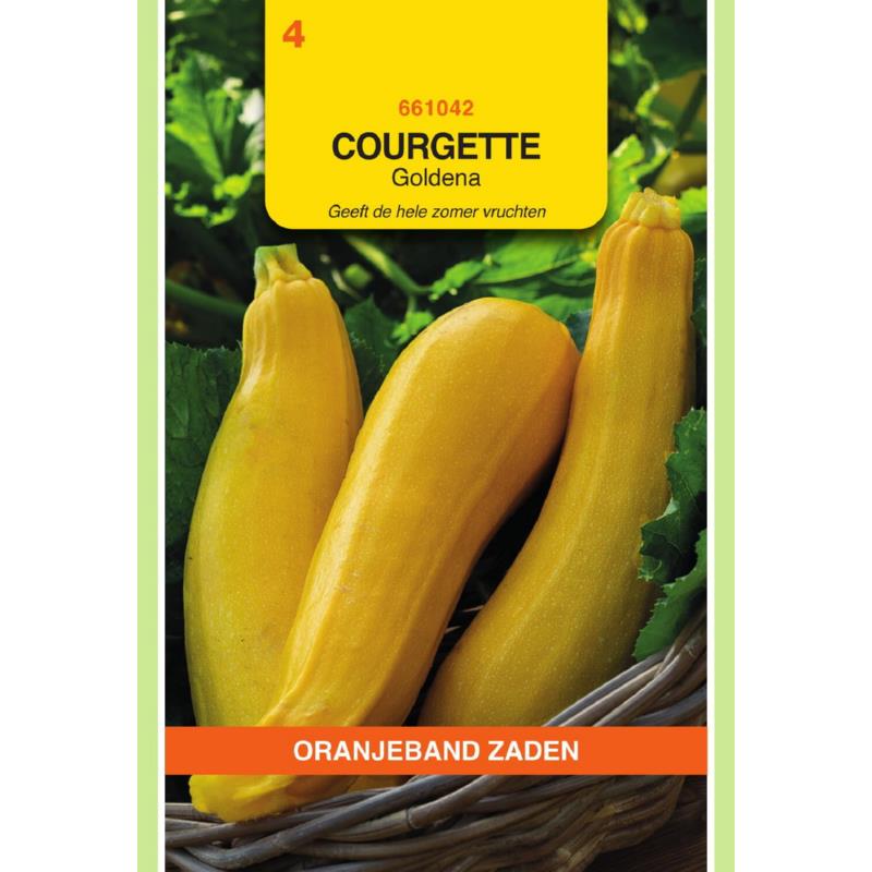 Courgette jaune GOLDENA - ca 2 g