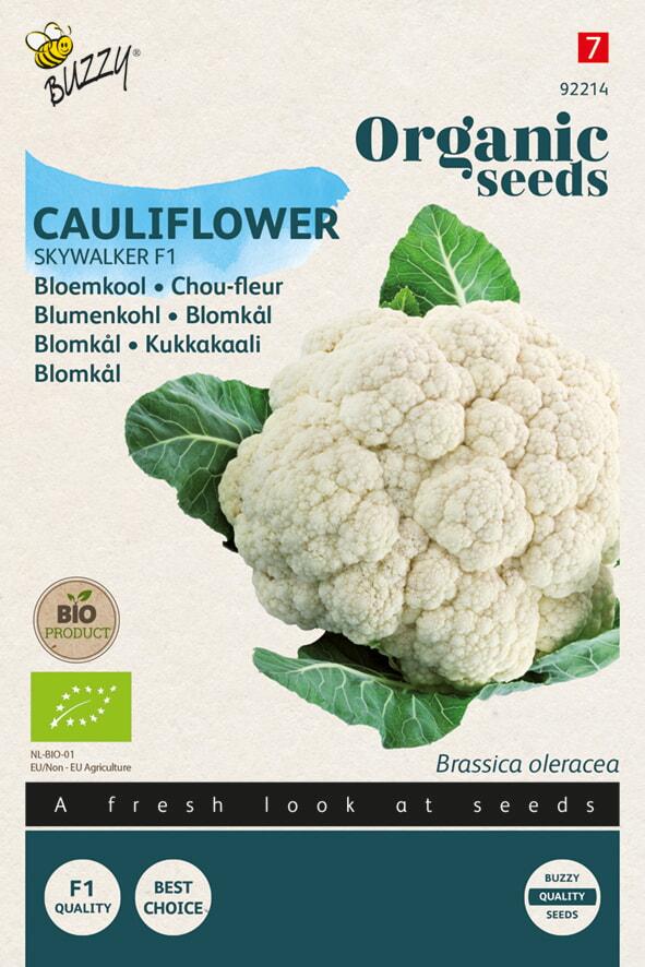 Bio bloemkolen GOODMAN F1 - ca 25 z