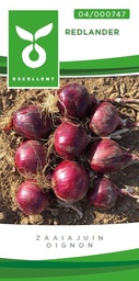 Oignons à semer rouge REDLANDER - ca 500 s