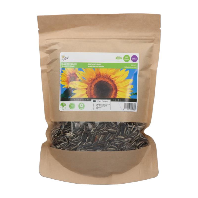 Helianthus annuus GIGANTEUS - ca 250 g