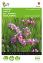 Limonium sinuatum DEEP ROSE - ca 90 z