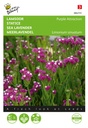 Limonium sinuatum PURPLE ATTRACTION - ca 90 z