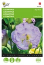 Lisianthus MINI SKY BLUE - ca 25 z