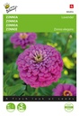 Zinnia elegans LAVENDEL - ca 100 z
