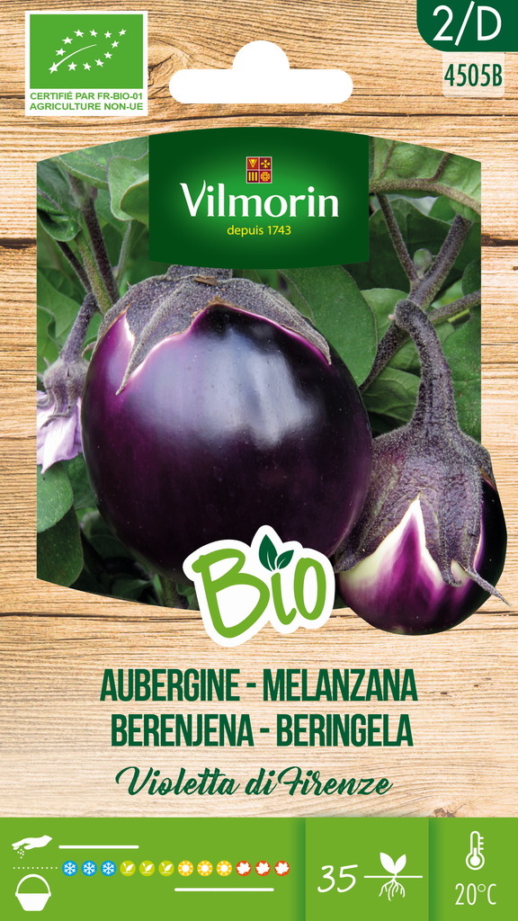 Aubergine VIOLETTA DI FIRENZE (BIO) - ca 0,5 g