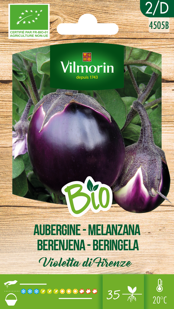 Bio aubergine of eierplant VIOLETTA DI FIRENZE - ca 0,5 g