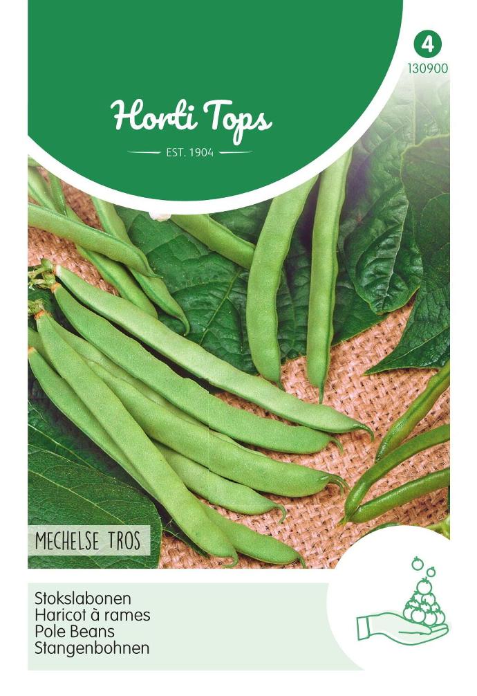 Haricots à rames - mange-tout GRAPPE DE MALINES - ca 25 g