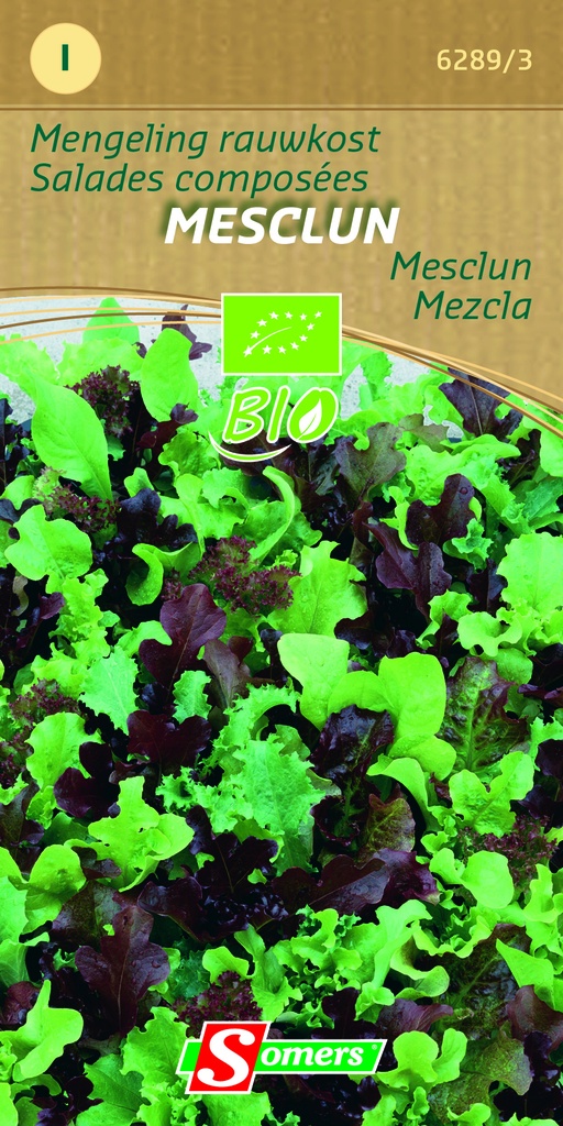 BABY LEAVES mesclun mix