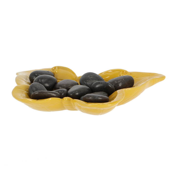 Bijen- en vlinderdrinkschaal