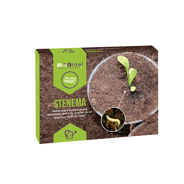Les ennemis naturels STENEMA contre les mouches du terreau - 2 x 10 m²