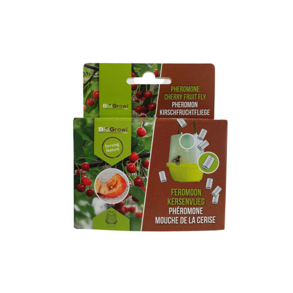 Biogroei phéromones contre le ver de la cerise - 1 pc