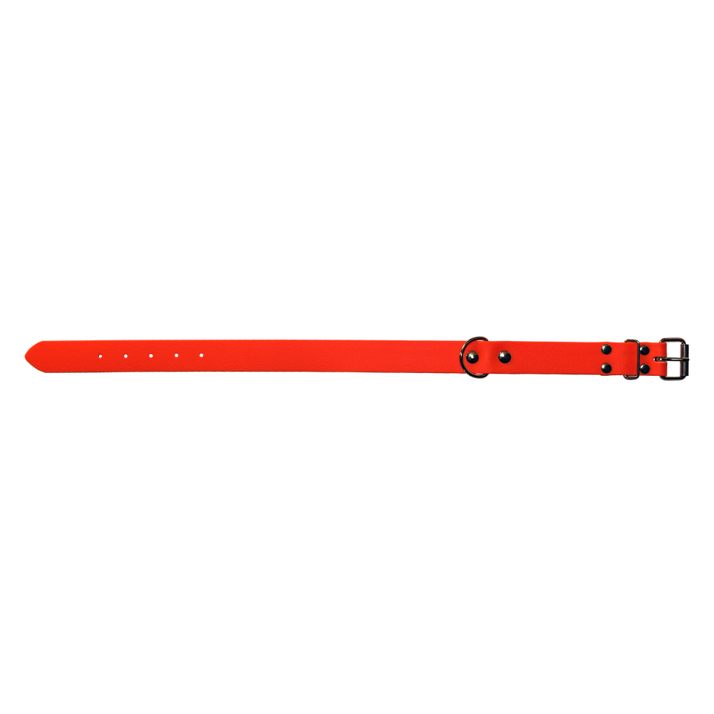 Collier pour chien - cuir brun