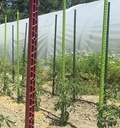 Plantensteun - 180 cm