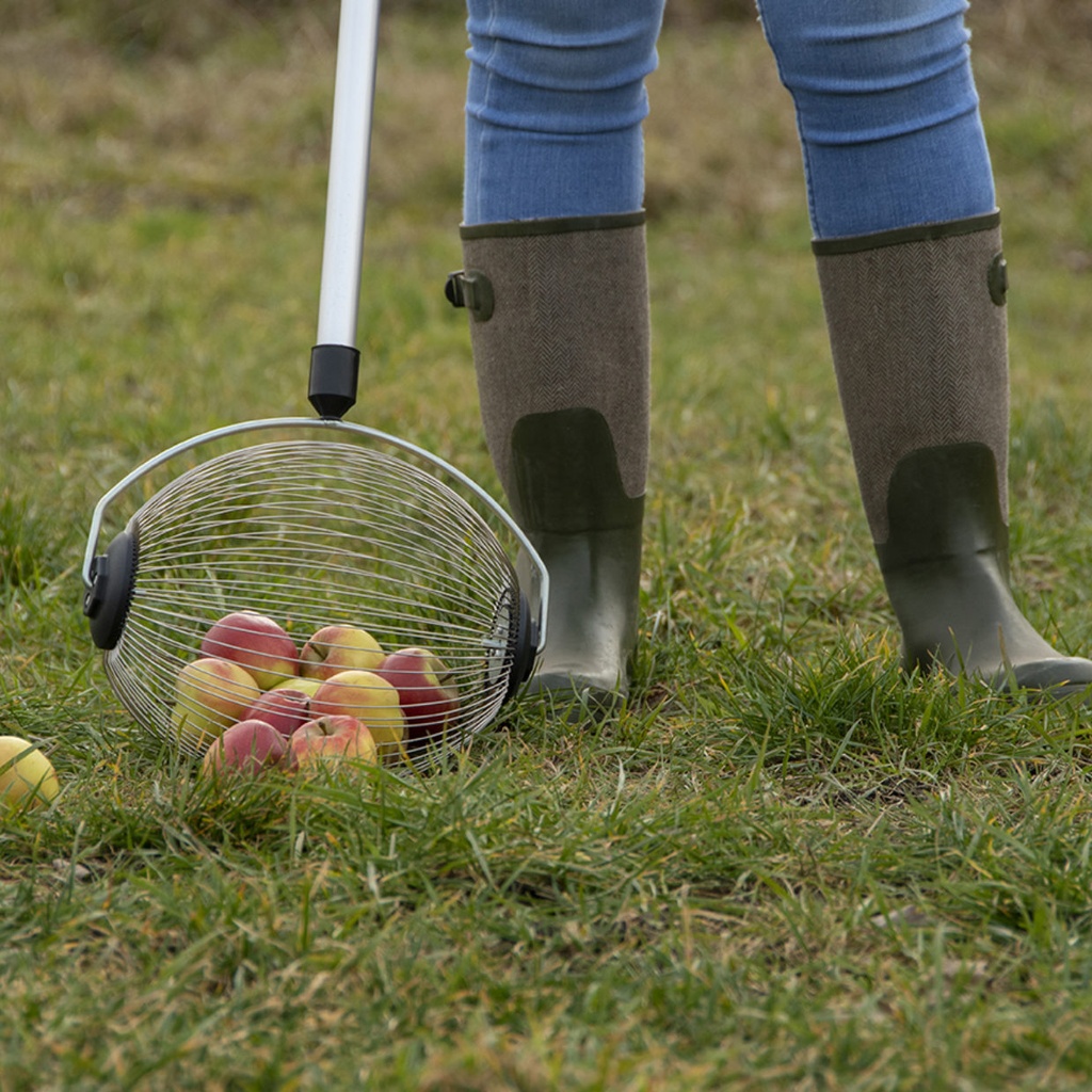 NOTENRAPER