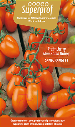 Tomaat oranje pruimcherry SANTORANGE F1 - 1 plantje