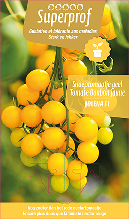 SNOEPTOMAATJE GEEL JOLENA F1 - plantje