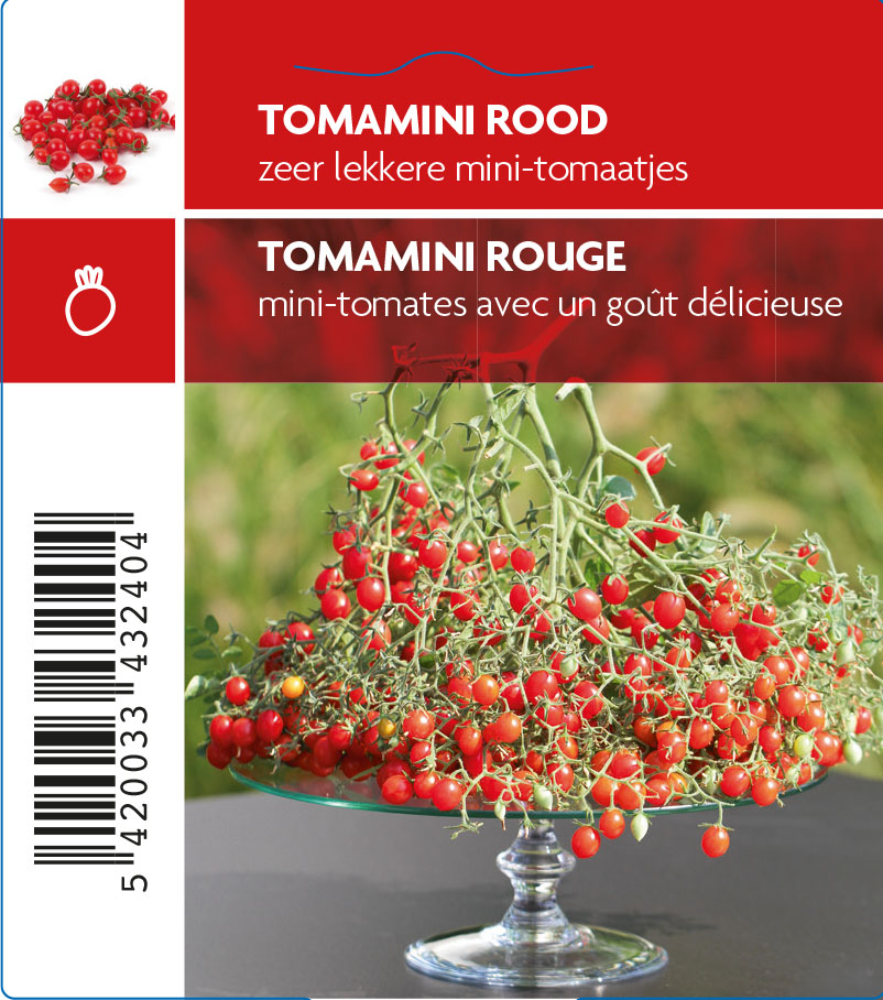 TOMAMINNI ROOD - mini tomaatjes - plantje